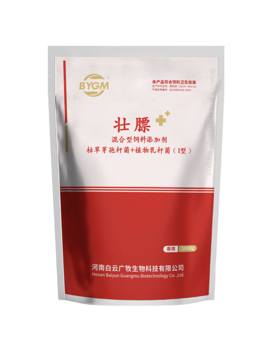 292fd41a-e888-48de-90f2-4010d78c05ae (1).png